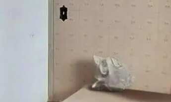 Imagem 7: Casa Térrea para Locação ? Vila Carrão