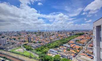 Imagem 7: Apartamento 2 quartos para alugar no(a) Vila Guilhermina