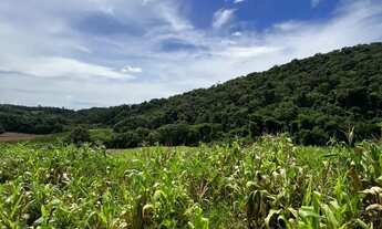 Imagem 3: Terrenos para venda tem 1000 metros quadrados em Colégio - Ibiúna - SP