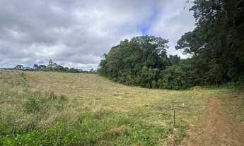 Imagem 7: Terreno em São Jose dos Pinhais