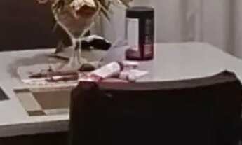 Imagem 4: Apartamento à venda no RESIDENCIAL DAS ÁRVORES , SÃO BRÁS, Nossa Senhora do Socorro, SE