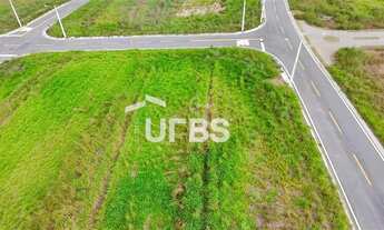 Imagem 9: Lote Vinhas Flamboyant