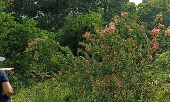 Imagem 3: Vendo Sítio na Estrada de Autazes
