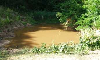 Imagem 4: Terreno de 9,7 alqueires