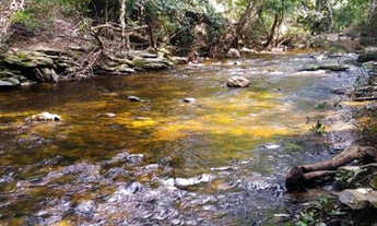 Imagem 6: Chácara de 57.000m² com nascente, rio de águas cristalinas /Jaboticatubas