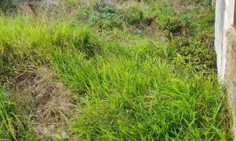 Imagem 3: Porto Alegre - Terreno Padrão - Tristeza