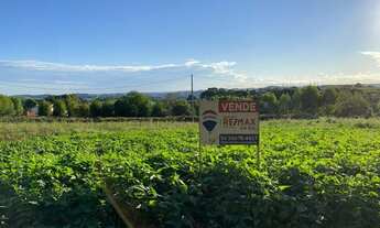 Imagem 2: Lote/terreno à venda em Três Palmeiras