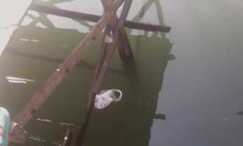 Imagem 3: Assoalho de madeira na zona noroeste