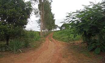 Imagem 5: Sitio em cassia m.g 2 alqueires 450.000.00