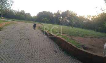 Imagem 4: Porto Alegre - Terreno Padrão - Vila Nova