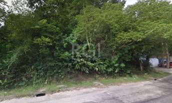 Imagem 3: Terreno em Vila Nova