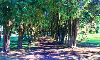 Imagem: Não Perca a Oportunidade! Lotes com Vista