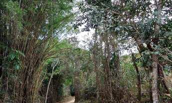 Imagem: Chácara - 81320 m² por R$ 380.000 - Alfredo