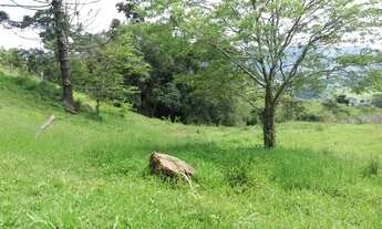 Imagem 7: Excelente TERRAS em Gonçalves- MG - RURAL - Região Turística