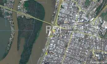 Imagem 2: Porto Alegre - Terreno Padrão - Floresta