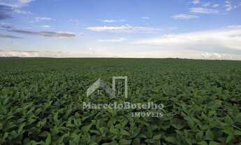 Imagem: Fazenda plantando região de Primavera do