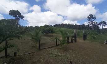 Imagem: Valor Sítio BR 174 km 202 ramal do Robertinho