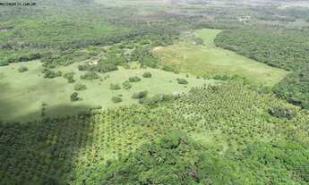 Imagem 4: Fazenda para Locação em Camaçari, Monte Gordo