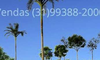 Imagem 2: Terrenos de 1.500m² em Bairro Planejado de Cachoeira do Campo