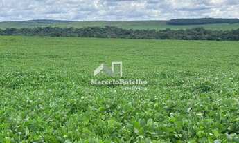 Imagem 2: Fazenda 6.400 hectares á venda município de Nova Mutum MT