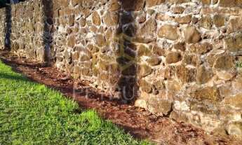 Imagem 7: Fazenda - Centro - Torrinha