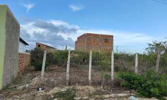 Imagem 6: Verde terreno em Tibau