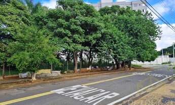 Imagem 4: Terreno - Parque Taquaral - Campinas