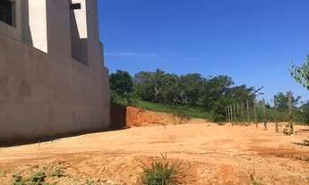 Imagem 4: Lote alto Ipiranga