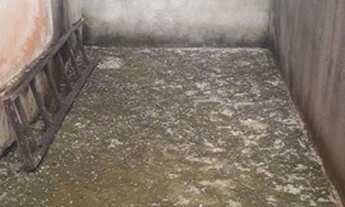 Imagem 5: Casa Marechal Casa com 2 dormitórios