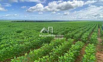 Imagem: Fazenda 6.400 hectares á venda município