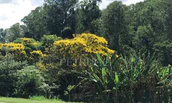 Imagem 4: Terreno - Santa Úrsula - Jaguariúna