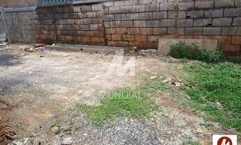 Imagem 3: Casa (térrea na rua) 2 dormitórios, cozinha planejada