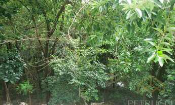 Imagem 3: Sala - Swiss Park - Campinas