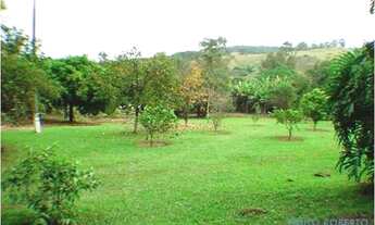 Imagem 2: SÍTIO - LOTEAMENTO LOANDA - SP