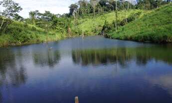 Imagem 5: Área de terra em Itaituba, PA