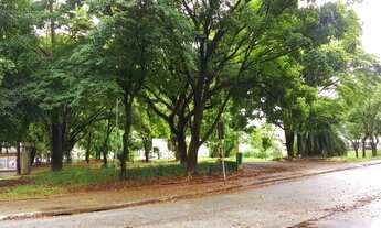 Imagem 4: Janelas incríveis em rua tranquila