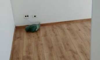 Imagem 3: APARTAMENTO - CIDADE SÃO JORGE - SP