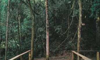 Imagem 7: Vendo terreno para chácara em um lugar incrível!!