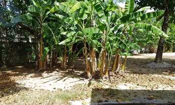 Imagem 4: FLORIANóPOLIS - Terreno Padrão - Saco dos Limões