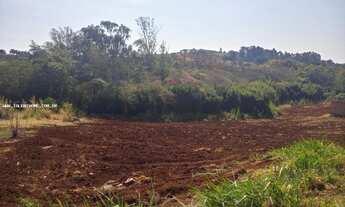 Imagem 2: Terreno para Venda em Jandaia do Sul, Centro