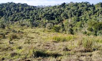 Imagem: Lote/Terreno para venda tem 600 metros quadrados