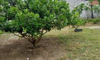 Imagem 16: Ótima chácara com 1.100m2