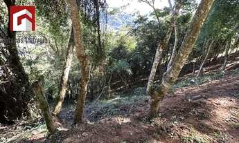 Imagem 5: Petrópolis - Terreno Padrão - Corrêas