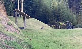 Imagem 7: Sítio em Santa Teresa com casa de 4 quartos - 31.000M2. - excelente localização