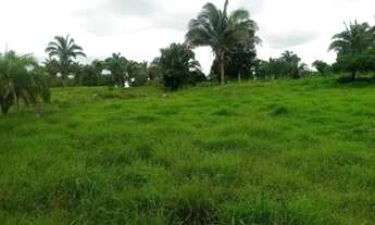 Imagem 2: Chácara 9.4 Alq. Na Marília