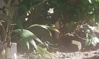 Imagem 4: Casa a venda grande vitória bem localizada