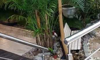 Imagem 7: Casa em condomínio fechado Tarumã