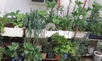 Imagem 4: Casa Padrão em Campinas