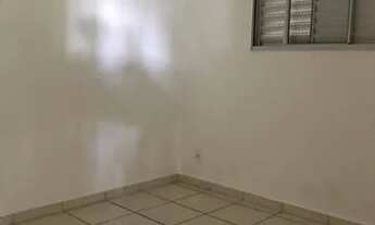 Imagem 4: Apartamento Residencial para venda e locação, Caparroz, São José do Rio Preto - AP0739