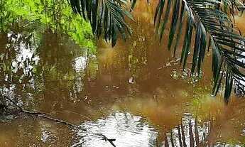 Imagem 2: Vendo maravilhoso sítio em Nazaré das farinha